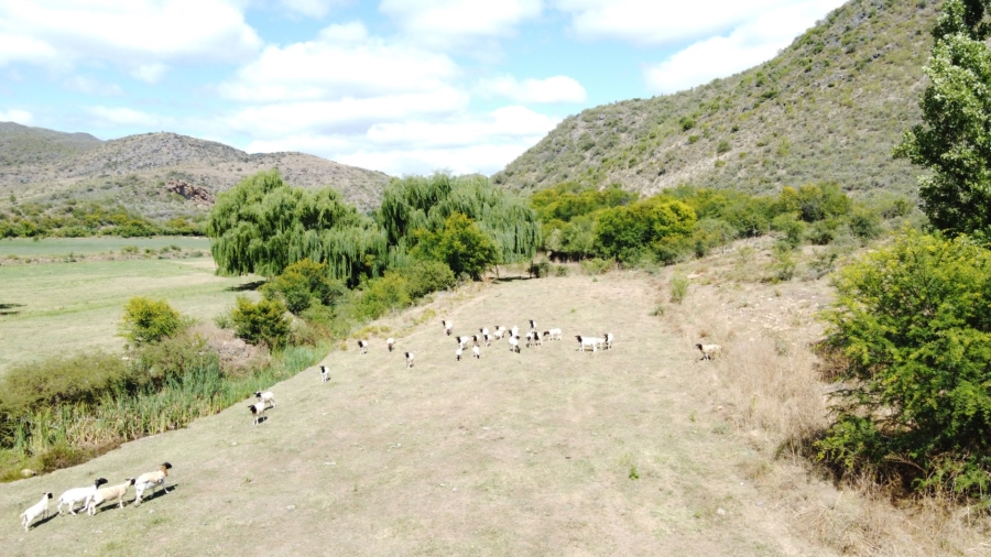 Commercial Property for Sale in Oudtshoorn Rural Western Cape